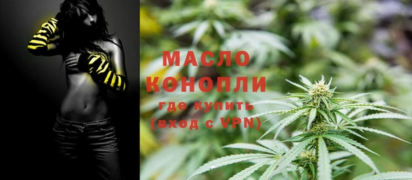 тгк Бородино