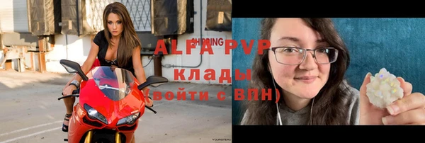 тгк Бородино