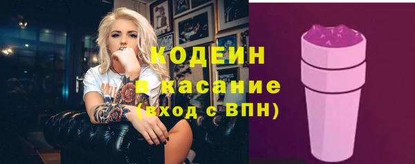 тгк Бородино