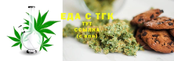 тгк Бородино