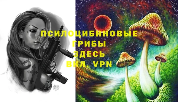 тгк Бородино